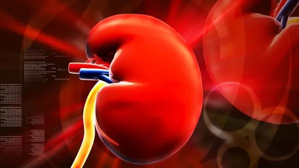 肾病高发的原因都有哪些 大多数都是这几个坏习惯在作祟