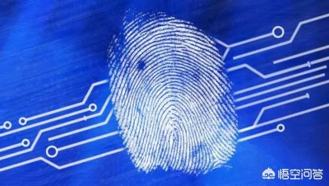 指纹贴原理