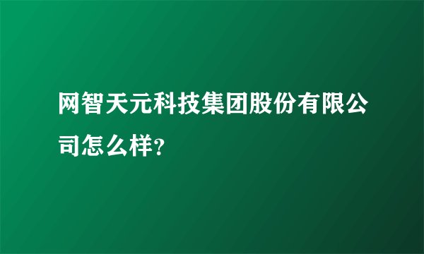 网智天元科技集团股份有限公司怎么样？