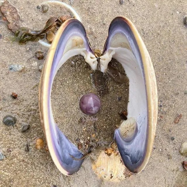 捡垃圾没出息？他在凌晨3点做了一生中最有意义的事情