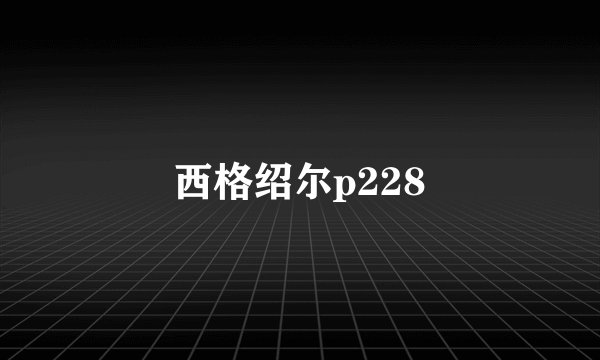 西格绍尔p228