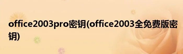 office2003pro密钥(office2003全免费版密钥)