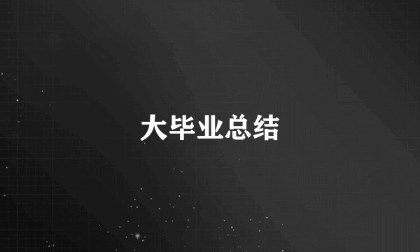 大毕业总结