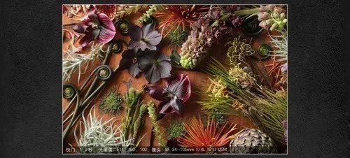 值得推荐佳能6D Mark II(单机)西安赛格现货