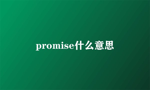 promise什么意思