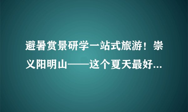 避暑赏景研学一站式旅游！崇义阳明山——这个夏天最好的安排！