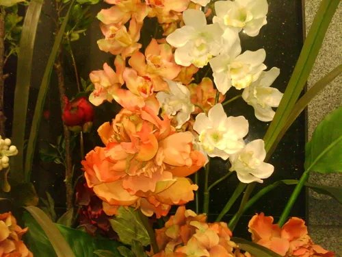 时尚/功能两全的女性手机 联想S700评测