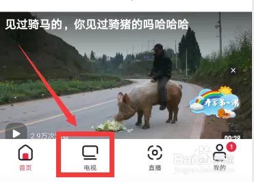 2020全国中小学生开学第一课直播在哪看