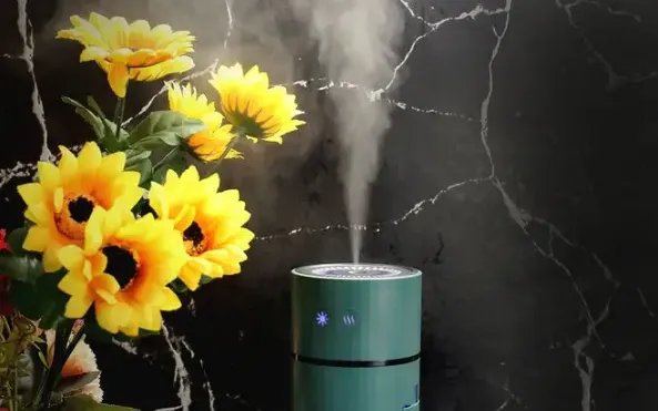 加湿器有什么作用