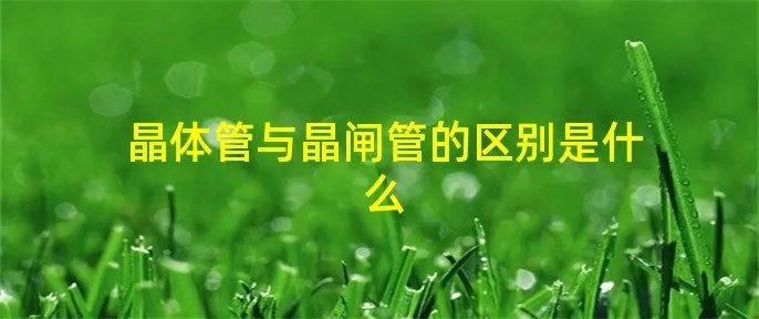 晶体管与晶闸管的区别是什么