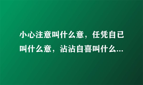 小心注意叫什么意，任凭自已叫什么意，沾沾自喜叫什么意，任意忘为叫什么意，心情爽快叫什么意，心术不正