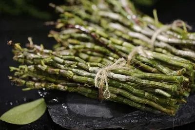 石斛与铁皮石斛区别 石斛与铁皮石斛的功效