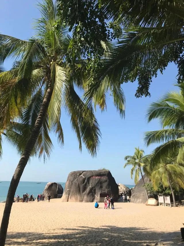 为什么三亚国际旅游岛新冠几乎没有？