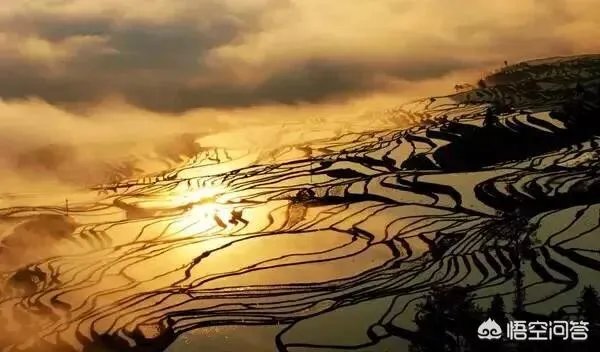 云南哈尼梯田的特点