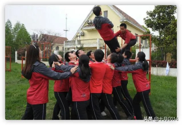 拓展训练有哪些项目?