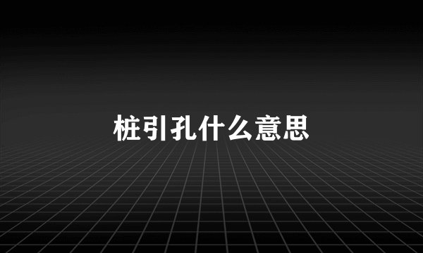 桩引孔什么意思