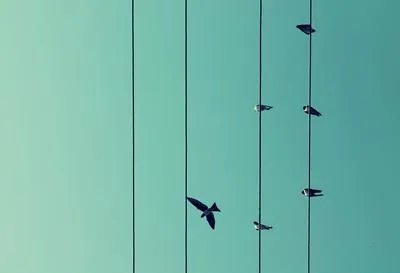 触电了怎么急救 触电的原理