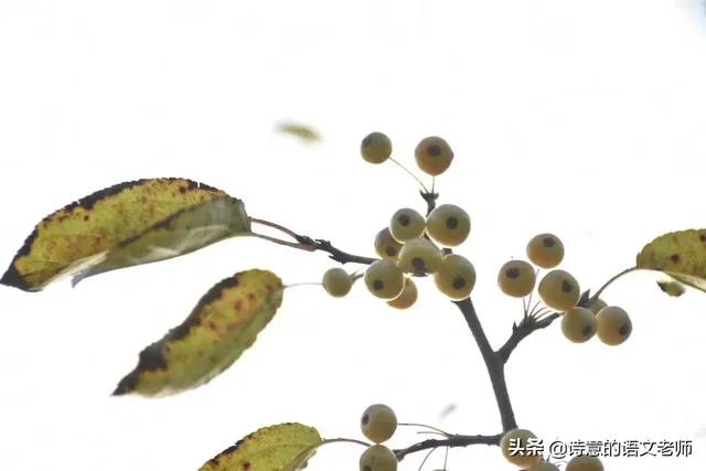 如何看待六部门要求教师不得“拖堂”或提前上课？