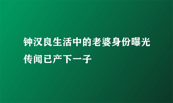 钟汉良生活中的老婆身份曝光传闻已产下一子