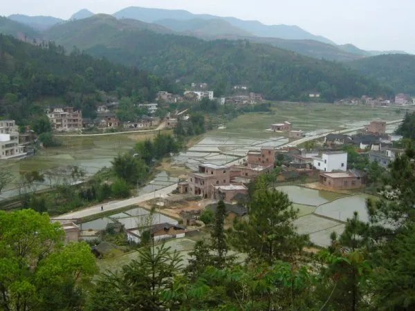 上浦村的村简介