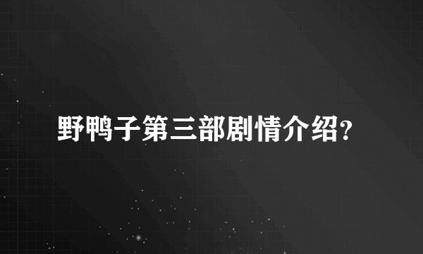 野鸭子第三部剧情介绍？