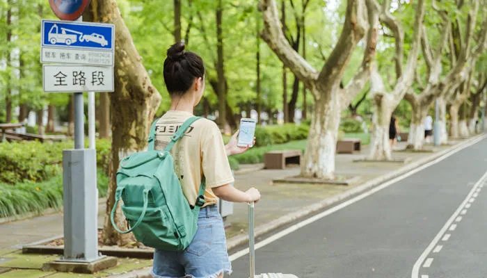 西南政法大学是211吗