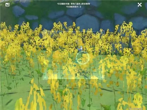 原神带有蓝色的采集物有哪些