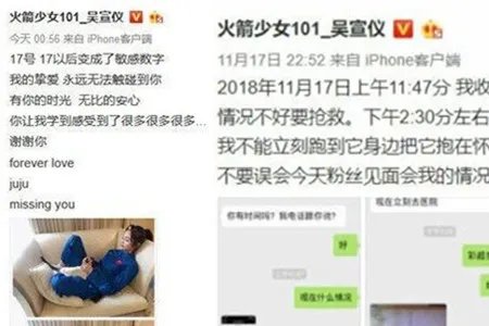 吴宣仪悼念爱猫  粉丝后援会捐建希望医院传递正能量