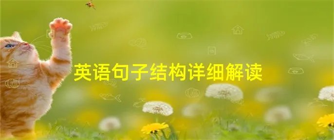 英语句子结构详细解读