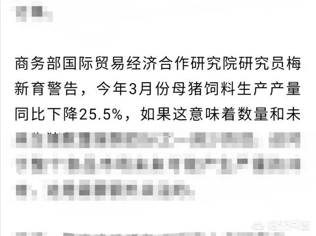 安徽猪饲料排名