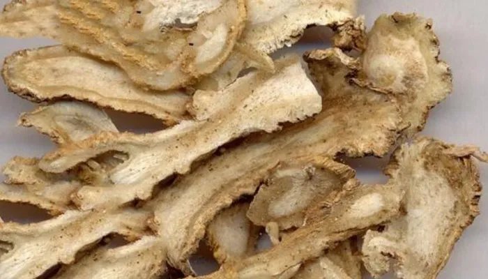 川芎的功效与作用 川芎图片