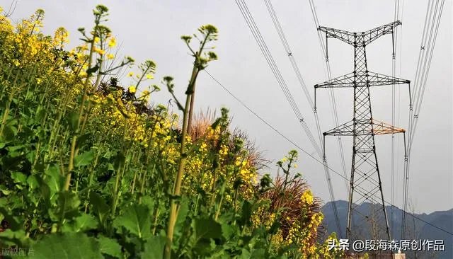 三峡能源市值为什么那么高