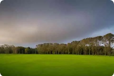 漩涡的拼音是什么