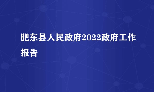 肥东县人民政府2022政府工作报告