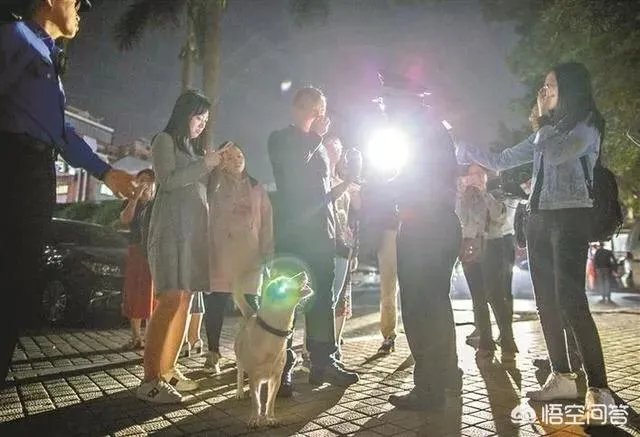 宠物狗不牵绳追撵9岁男童，深圳犬主被罚款500元, 你怎么看？