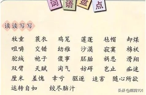 邓组词有哪些？