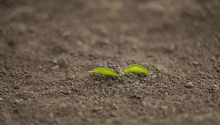 耐火泥的使用方法是什么