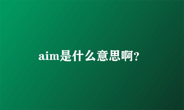 aim是什么意思啊？