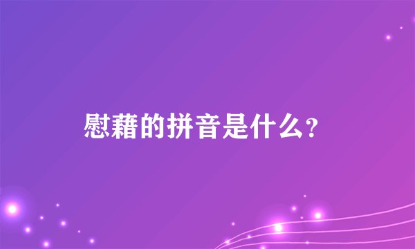 慰藉的拼音是什么？
