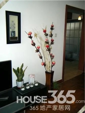 一万装出婚房太牛了 两对新人省钱经验大分享