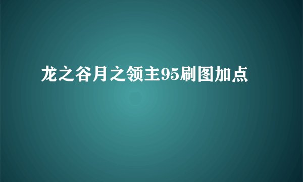 龙之谷月之领主95刷图加点