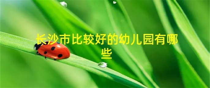 长沙市比较好的幼儿园有哪些