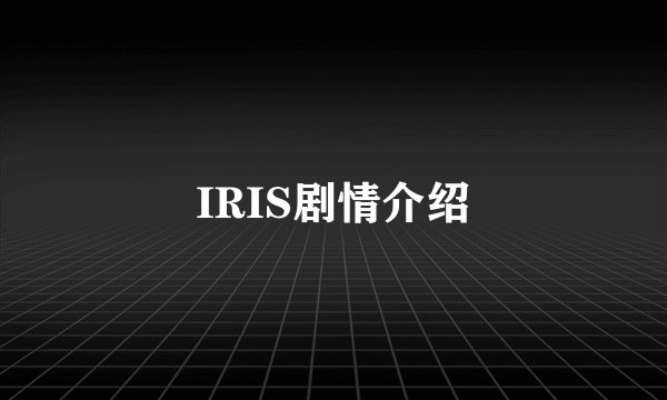 IRIS剧情介绍
