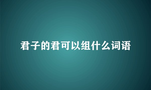 君子的君可以组什么词语