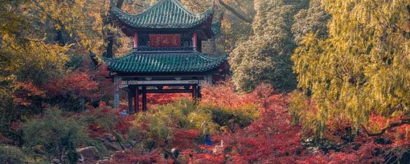 白露节气的注意事项 白露要注意什么