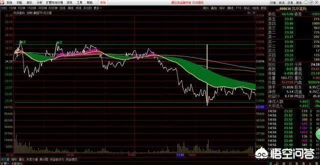 分时图强势选股法能买入当天就涨停的股票吗？为什么？