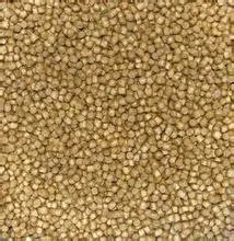 鱼子酱狗粮怎么样