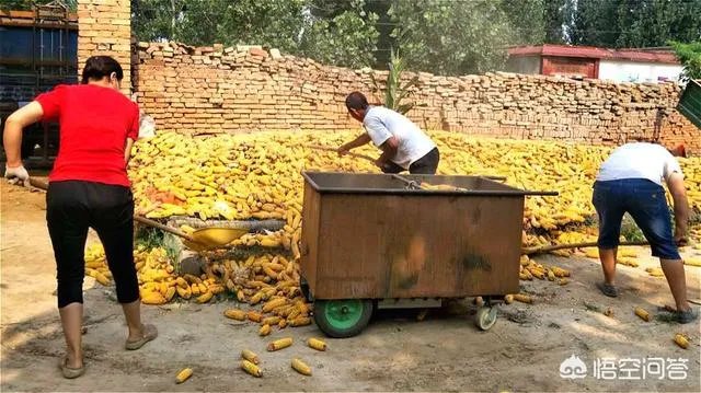 怎么防止地磅做手脚