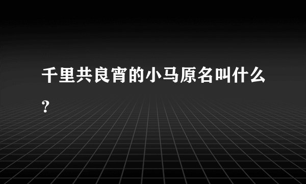 千里共良宵的小马原名叫什么？