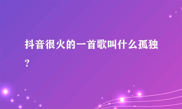 抖音很火的一首歌叫什么孤独？
